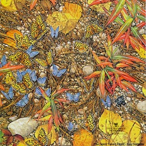 alchimista-contadino